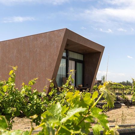 Andeluna Winery Lodge Тупунгато Екстериор снимка