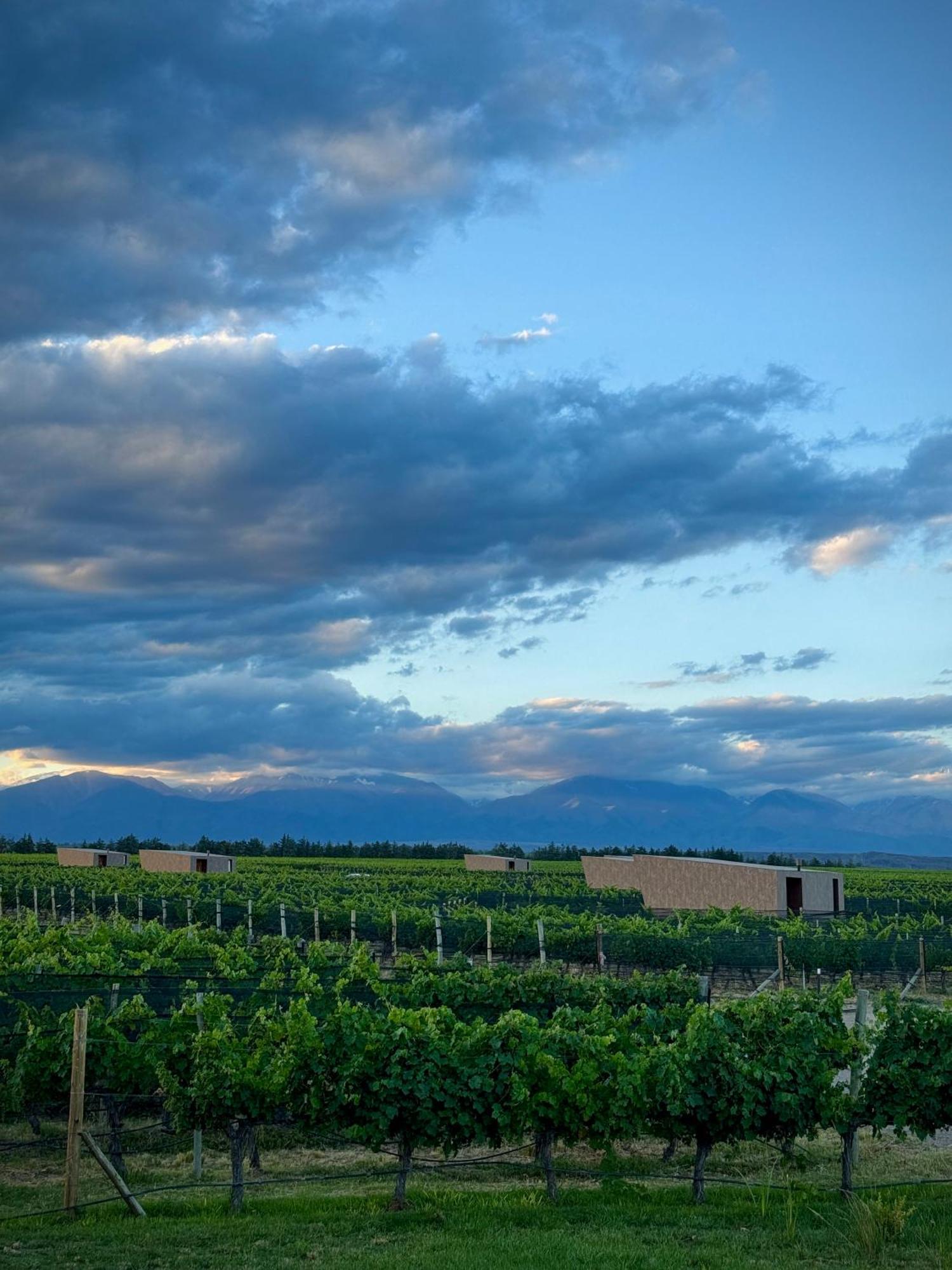 Andeluna Winery Lodge Тупунгато Екстериор снимка